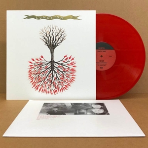 Love is Love by Lungfish