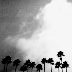 Radiation Breeze by Richard Rose