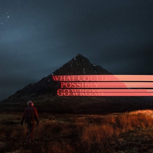 What Could Possibly Go Wrong by Fike, Dominic