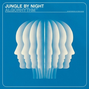 Algorhythm by Jungle By Night