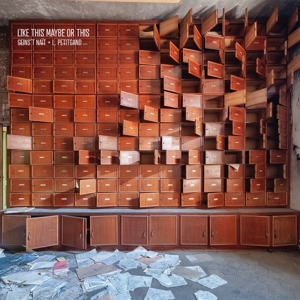 Like This Maybe or This by Geins't Nait & Lau...