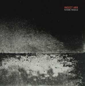 Future Fossils by Insect Ark