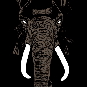 Don't Buy Ivory Anymore! - the Music of Henri Texier by Palm Unit