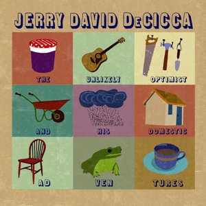 Unlikely Optimist and His Domestic Adventures by Decicca, Jerry David