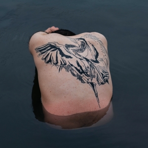 Blue Heron by Jodi