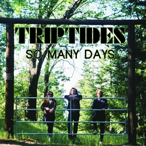 So Many Days by Triptides