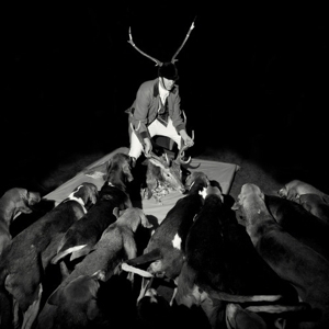 A Night Full of Collapses by Marquises, Les