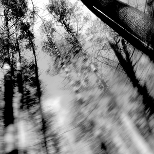 Totems by Loess
