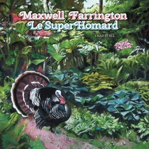 I Had It All by Farrington, Maxwell
