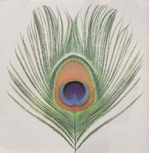 Apple Venus Vol. I by Xtc