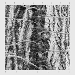 Aveilut by Scarcity