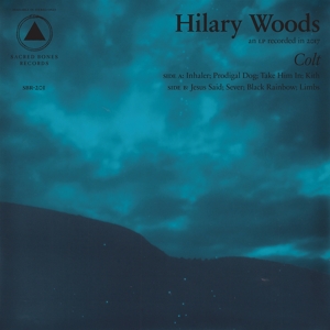 Colt by Woods, Hilary