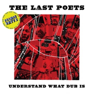 Understand What Dub is by Last Poets