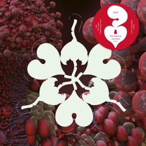 Fossora Remixes by Bjork