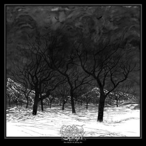 They Became the Falling Ash by Ethereal Shroud