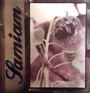 Samiam by Samiam