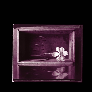 7-Hymns by Crow, Rob & Kramer