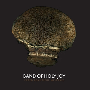 Fated Beautiful Mistakes by Band of Holy Joy