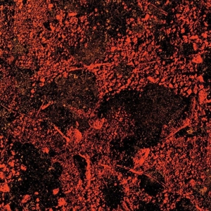 Murder of the Universe