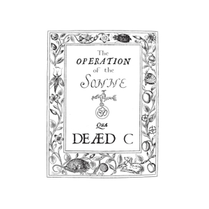 Operation of the Sonne by Dead C