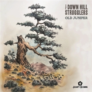 Old Juniper by Down Hill Strugglers