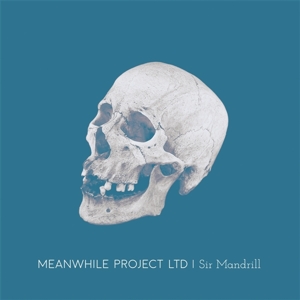 Sir Mandrill by Meanwhile Project Ltd
