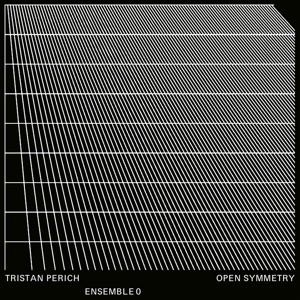 Open Symmetry by Perich, Tristan & Ense...