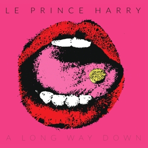 A Long Way Down by Le Prince Harry