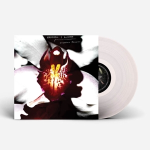 Cellophane Memories by Lynch, David & Chrysta...
