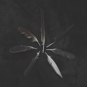 Dust and Disquiet by Caspian