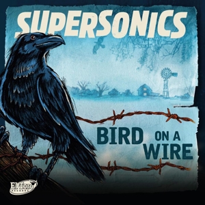 Bird On a Wire by Supersonics