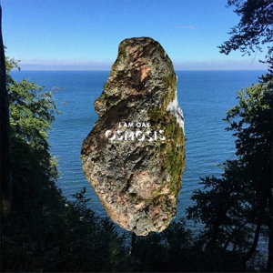 Osmosis by I Am Oak