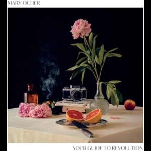 Your Guide To Revolution by Ocher, Mary