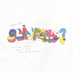 So You Like Slippers? by Slippers