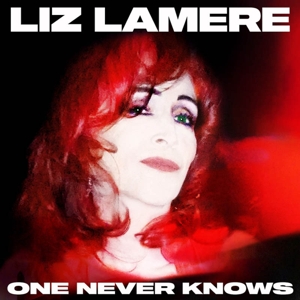 One Never Knows by Lamere, Liz