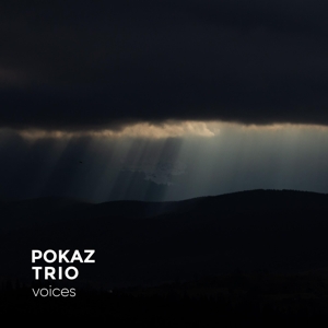 Voices by Pokaz Trio