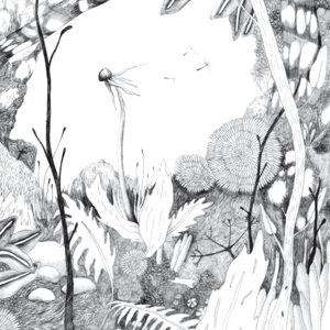 Time Whispers