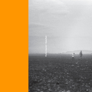 Portico Quartet and Hania Rani by Portico Quartet & Rani...