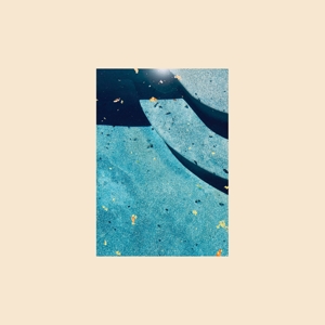Glass Narcissus by Giant Day