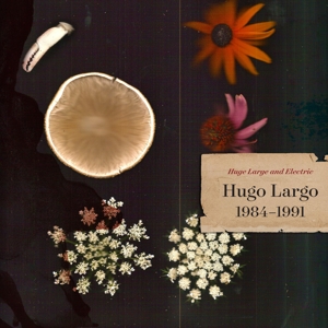 Huge, Large and Electric: Hugo Largo 1984-1991 by Hugo Largo