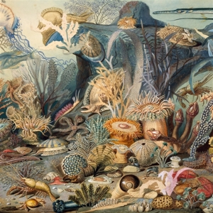 Episodes In Oceanography, Vol. 2 by Chypho