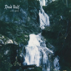 Evil Spirit by Dead Wolf