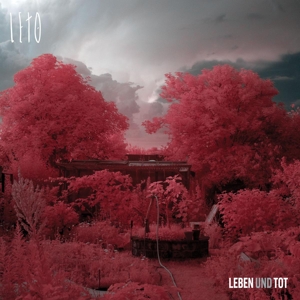 Leto by Leto