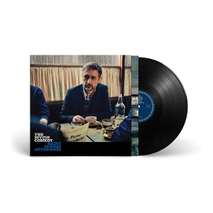 Rainy Sunday Afternoon by Divine Comedy