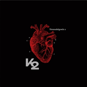 Herzmuskelgewebe by K2
