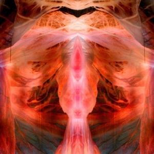 The Annihilating Angel; or, the Surface of the World by Schutze, Paul