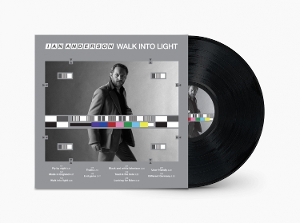 Walk Into Light by Anderson, Ian