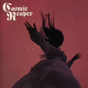 Bleed the Wicked, Drown the Damned by Cosmic Reaper