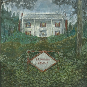 Diamond Grove by Weirs