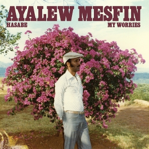 Hasabe - My Worries by Mesfin, Ayalew